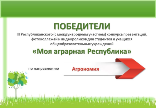 Научные работы студентов ИАЭ ЮУрГАУ удостоены наград республиканского конкурса (Для лиц старше 06 лет)