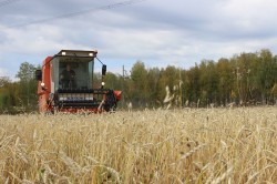 Получи высшее образование в ЮУрГАУ: агрономия
