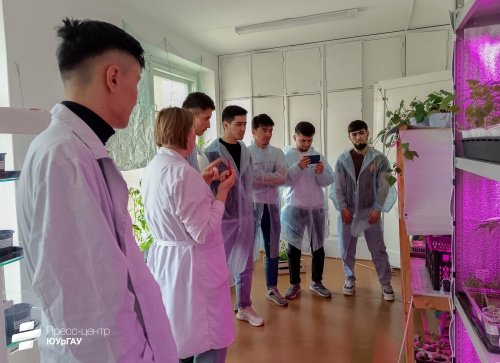 Лекционная интеграция студентов двух площадок ЮУрГАУ 