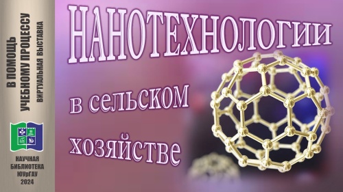 НАНОТЕХНОЛОГИИ В СЕЛЬСКОМ ХОЗЯЙСТВЕ: в помощь учебному процессу 