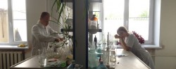 Студенты ЮУрГАУ изучили картофель в ЮУНИИСК 