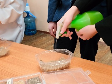 IMG20240212091001.jpg