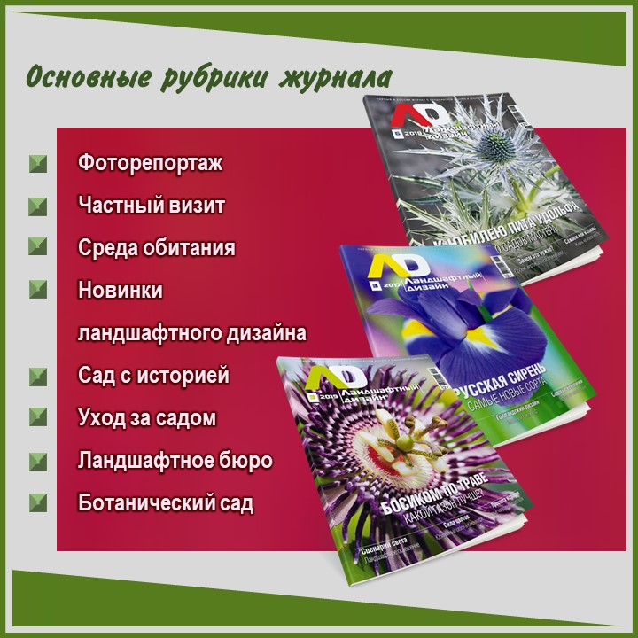 Слайд3.JPG