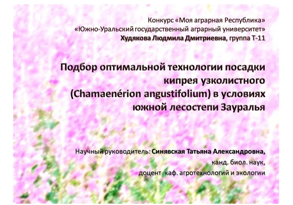 xRJJirPjmj0.jpg