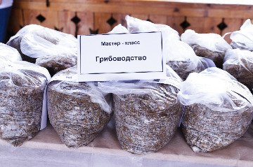 6Ярмарка Умная усадьба-2022.jpeg