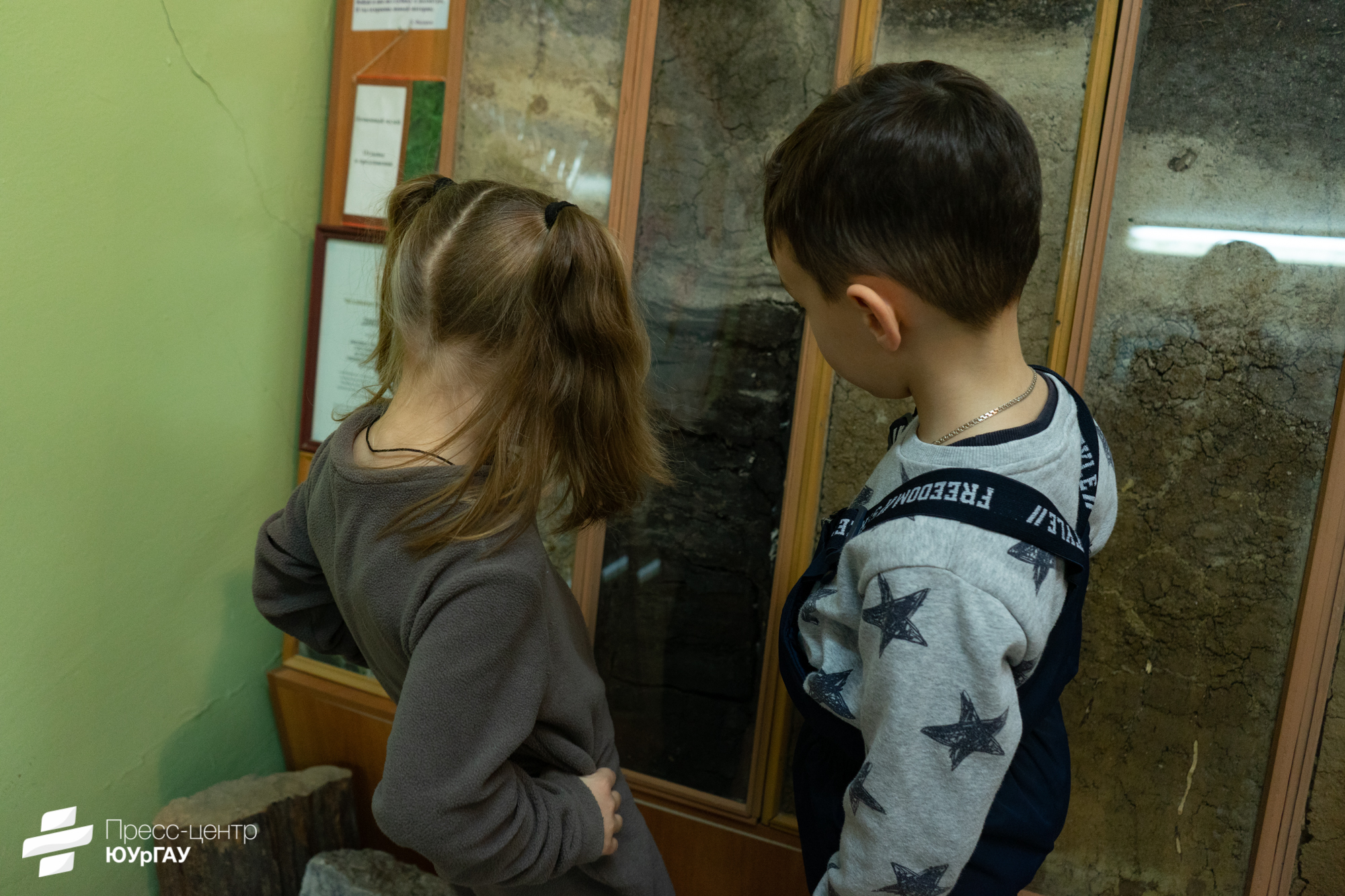 DSC01114.jpg