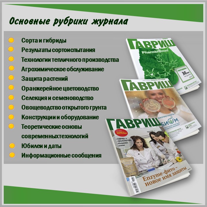 Слайд3.JPG