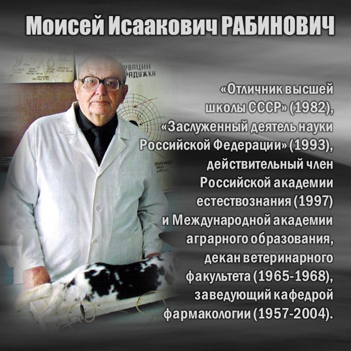 РАБИНОВИЧ-3.JPG