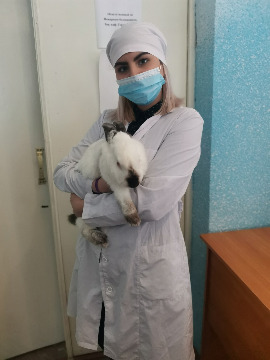 1Лапка друга-2022.jpeg