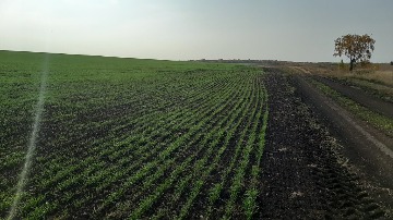 ЭкоНива (11).jpg