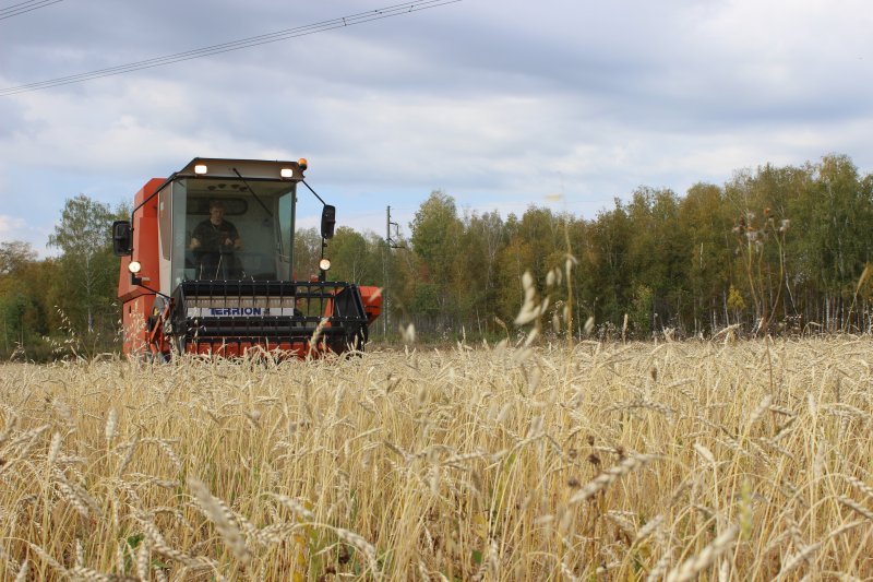 Получи высшее образование в ЮУрГАУ: агрономия