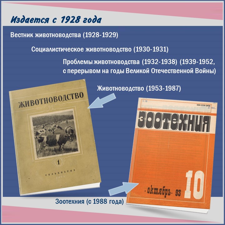Слайд3.JPG