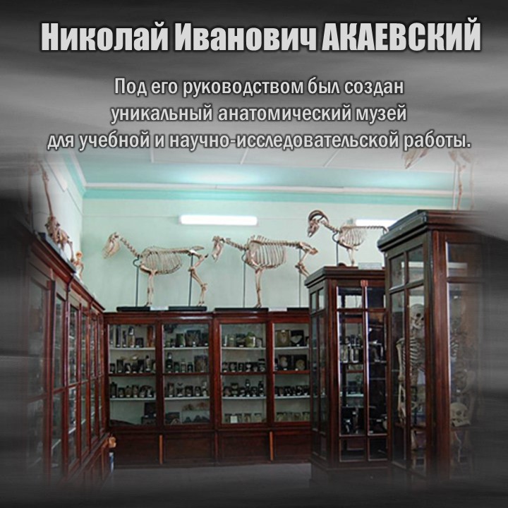 АКАЕВСКИЙ-3.JPG