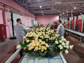 10Визит ректора в Беларусь.jpeg