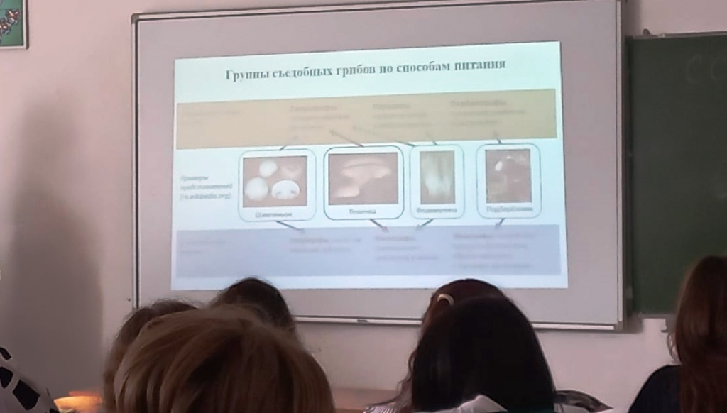 eftQMn-74Ks.jpg